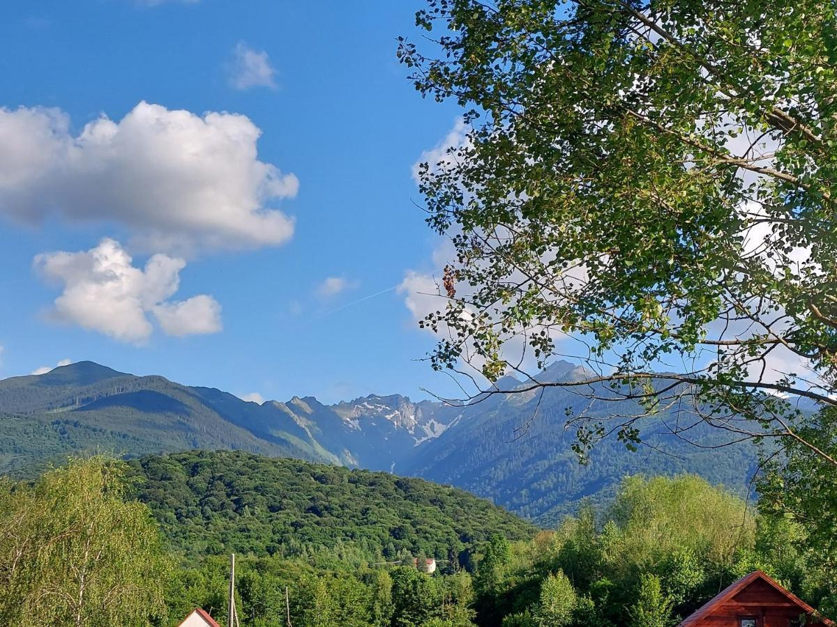 Cabana Casa Lu'Baciu Arpasu de Sus Exterior photo